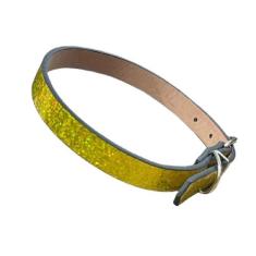 Coleira de identificação pra cachorro 42cm x 15mm - IDEA, AMARELO