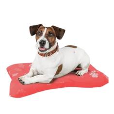 Cama Caminha King Confort para Cães e Gatos M Macho