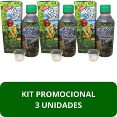 Suplemento Alimentar Xarope da Vovó Original Frasco 250ml Kit Promocio