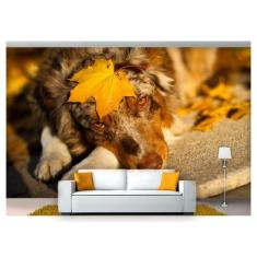 Papel De Parede Animais Cachorro Outono 3D Anm98 - Você Decora