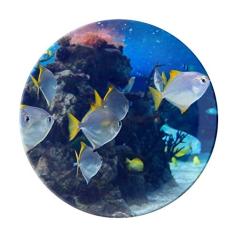 Prato decorativo de porcelana Salver Salver de peixe oceano ciência natureza