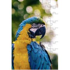 2 Quebra-Cabeça Cognitivo Reabilitação Idosos Araras 40 Peças  - Coleç