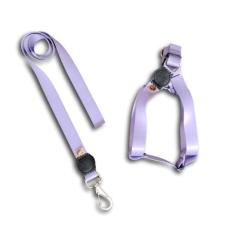 Coleira peitoral para cachorro com guia modelo americano - Facepet, P 