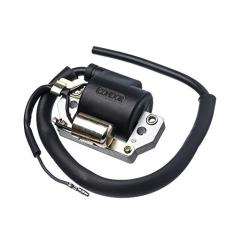 Bobina Ignicao Condor 12V Cg 125 83 A 91