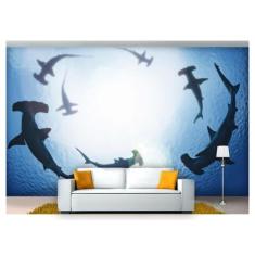Papel De Parede Animais Tubarão Martelo 3D Anm251 - Você Decora
