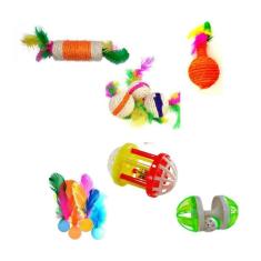 Brinquedos Para Gato Kit 6 Itens