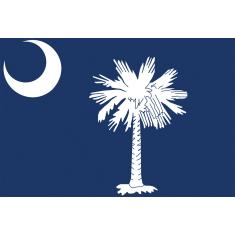 Toland Home Garden 1010343 Bandeira do Estado da Carolina do Sul 71 cm x 101 cm decorativa, casa (71 cm x 101 cm)