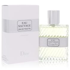 Perfume Masculino Sauvage Christian Dior 50 Ml Eau De Toilette