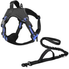 Coleira Peitoral Power + Guia Elástica Cachorro MADOG Azul, XG