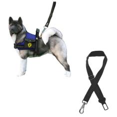 Coleira Para Cachorro Grande Com Cinto De Segurança Pet Peitoral Para 