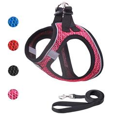 Conjunto de coleira e coleira para passear, respirável, leve, de malha macia, para filhotes, gatos, cães, colete refletivo e ajustável, à prova de fuga para cães pequenos e médios