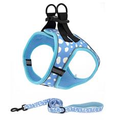 Peitoral para cães pequenos, conjunto de coleira e coleira para cães pequenos, arnês de malha ajustável para cães pequenos