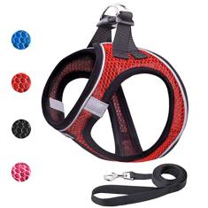 Conjunto de coleira e coleira para passear, respirável, leve, de malha macia, para filhotes, gatos, cães, colete refletivo e ajustável, à prova de fuga para cães pequenos e médios