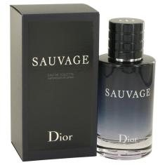 Perfume Masculino Sauvage Christian Dior 100 Ml Eau De Toilette