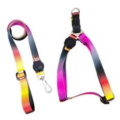 Coleira Para Cachorro Porte Grande Com Guia - Facepet, Degradê, GG: de