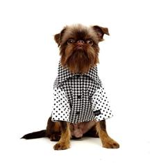 CAMISA PIED POULE MYBOO PRETO E BRANCO