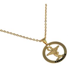 Colar Minha Profissão Farmácia Farmacêutico Folheado 18k