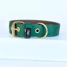 Coleira para Cachorro em couro - Ginger Ouro - Four Dogs, M, Verde esc
