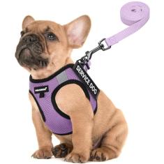 FAYOGOO Colete para cães de serviço para raças pequenas – Peitoral leve para cães com 6 peças de adesivos removíveis – Conjunto de coleira e coleira para cachorrinhos para caminhada, treinamento