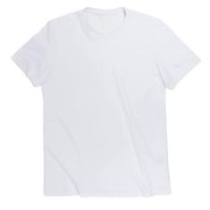 Camiseta Masculina Básica Camisa Lisa - 100% Algodão Fio 30 (Branco, M)