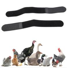 Coleira de Galo para Parar de Cantar, Coleira de Galo Anti-Corvo Coleira de Corvo de Galo 2 Pacotes Sem Ruído de Corvo Cinto de Pescoço de Frango para Galos Galo Nylon (Estilo