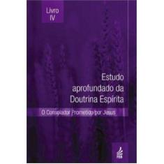 Estudo Aprofundado da Doutrina Espirita: Livro Iv