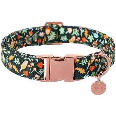 UP URARA PUP Daisy Fall Coleira para cachorro de algodão com fivela de metal presente coleira de outono para meninas, pequenas, médias e grandes, cães, fofas, duráveis, confortáveis e coleiras para animais de estimação