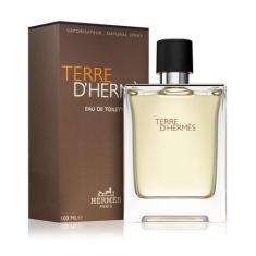 Perfume Hermès Terre D'Hermès - Eau de Toilette - Masculino - 100 ml, 