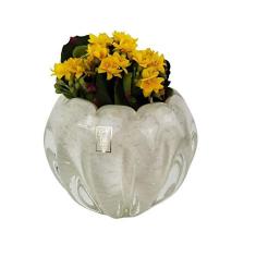 Vaso Em Cristal Murano Pérola - São Marcos