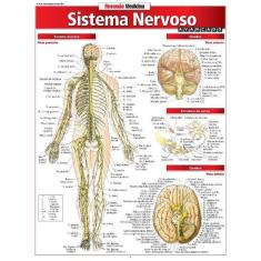 Resumao Medicina - Sistema Nervoso Avancado
