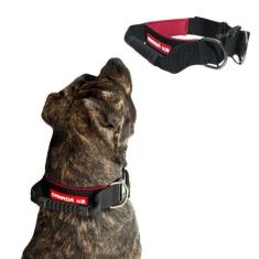 Coleira com Alça para Cães de Grande Porte - Cores Variadas - Canadá K