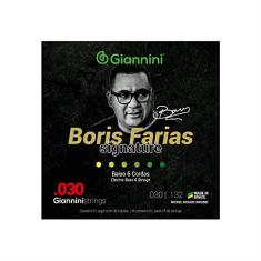 Encordoamento Baixo 6 Cordas Giannini Boris Farias SSBNBF6