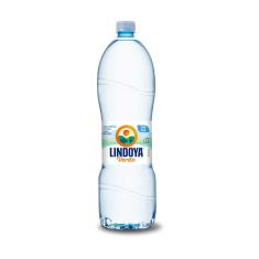 Água Mineral Lindoya Verão Sem Gás com 1,5L 1,5L