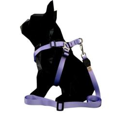 Peitoral coleira com guia de 2 metros para passeio - Facepet, Coleira 