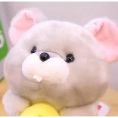 Urso Ursinho Hamster Fofo Pelúcia Antialérgico Presente