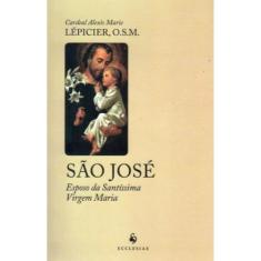 São José: Esposo da Santíssima Virgem Maria (Cardeal Lépicier) - Eccle