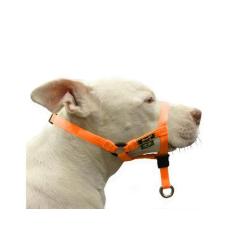 Coleira Cabresto Amorosso Halti, Laranja,  P