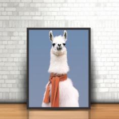 Quadro Moldura Animais Lhama Cachecol Camelídeo Manto Llama - Plinplin