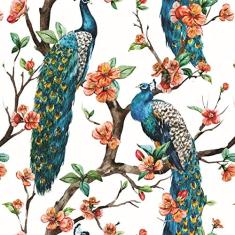 Papel De Parede Adesivo Lavável Pavão 15m
