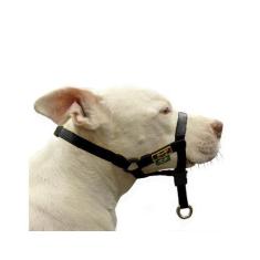 Coleira Cabresto Amorosso Halti, Preto,  G