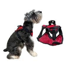 Peitoral Modelo Safari para Cachorro - Tamanho P - Canadá K9 Acessório