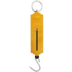 Balança Tipo Peixeiro 25 Kg Vonder
