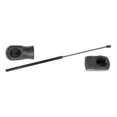 Amortecedor Mola Gás Capô Passat G7 11 A 15 F103 - Amortex