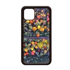 Capa colorida de ciência florestal ciência natureza para iPhone 11 Pro Max capa para celular Apple