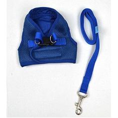 Peitoral com Guia para Cães Emporium Distripet Azul GG