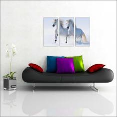 Quadro Decorativo Animais Cavalos Salas 3 peças Com Moldura - Vital Qu