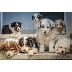 10 Quebra-Cabeça Cognitivo Idosos Gatos E Cachorros - Reidopendrive