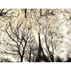 Tapete Eiffel Park Retangular Veludo 98x150 cm Creme