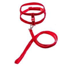 Coleira Peitoral Tradicional Com Aplique - Nº 01