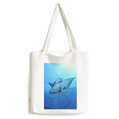 Bolsa de lona com imagem de natureza de skate Ocean Ray Bolsa de compras casual